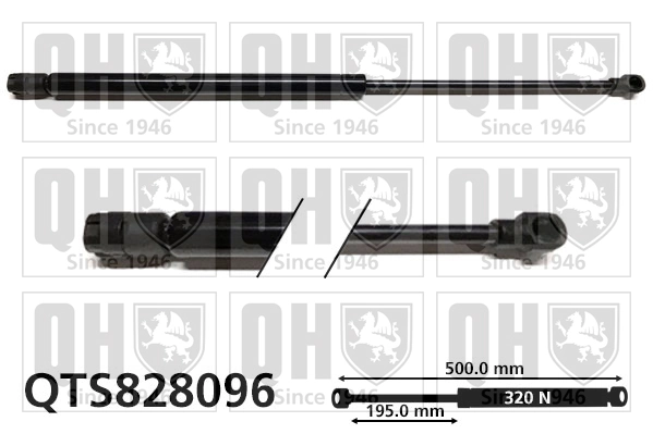 QTS828096 QUINTON HAZELL