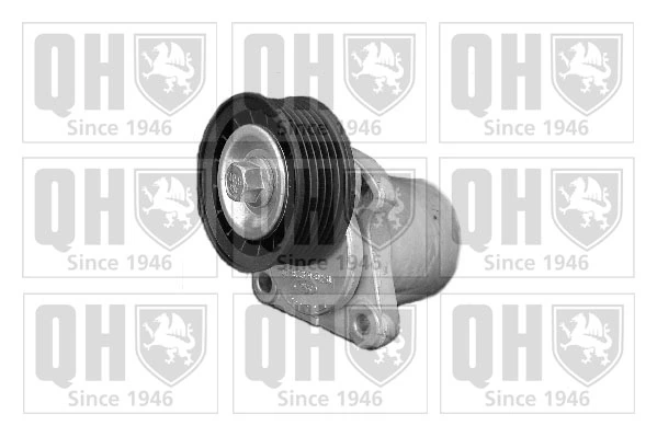  Tensor de correa poli V Ford Transit 6