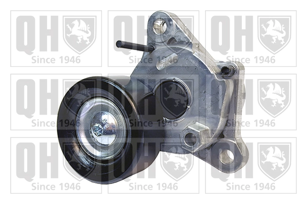 Tensor de correa poli V E20309OEM Japan Cars