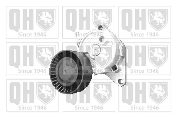 Tensor de la correa trapecial BMW 3 sedán (E46) (1998 - 2005) precio, desde 34,91 EUR