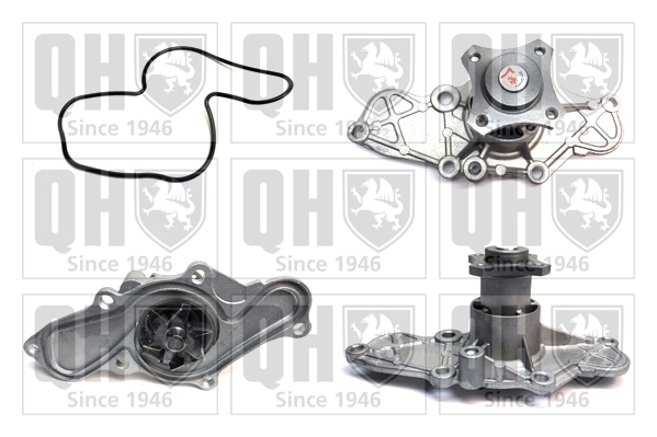 Bombeadora de agua Ford 3382081 precio, desde 34,15 EUR
