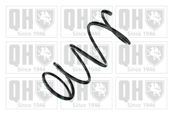 601671D Maxgear Muelle delantero