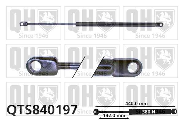 Muelle neumático, tapa delantera BMW 5 desde 17,95 €