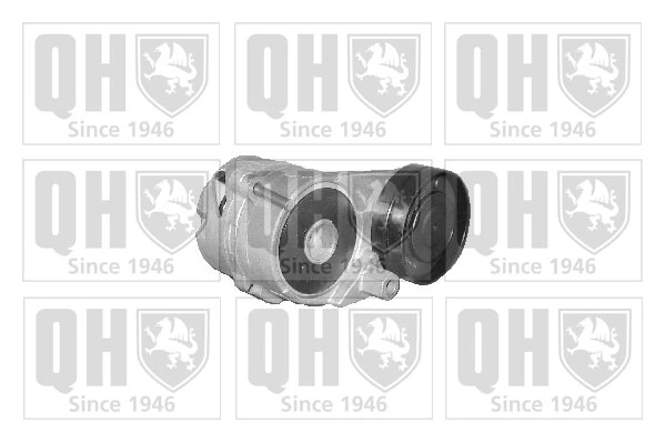 Tensor de correa de alternador para Audi A4 B6 8H7