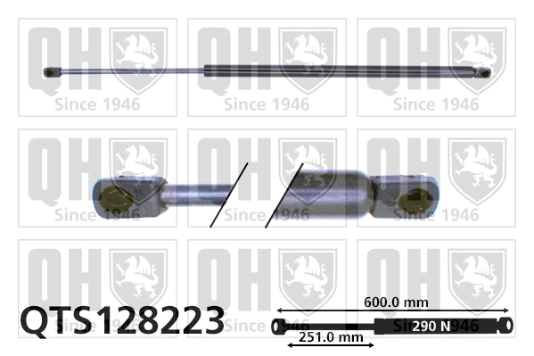 Muelle neumatico maletero Peugeot 205 I
