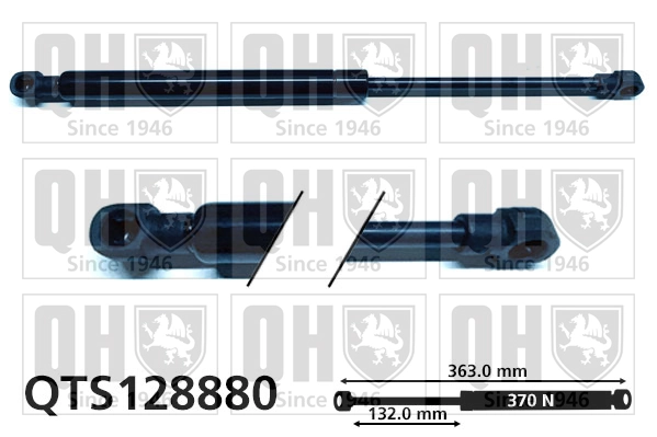 QTS128880 QUINTON HAZELL