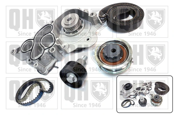 Kit de distribución VKMC01281 SKF