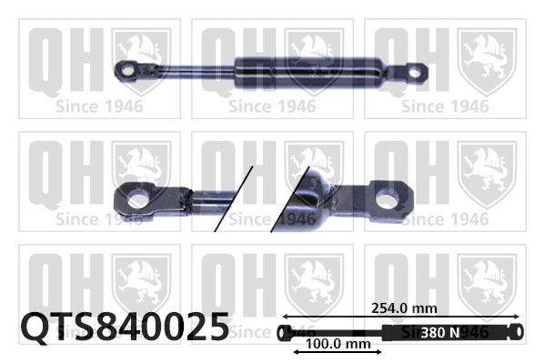 Muelle neumático, tapa delantera BMW 3 sedán (E30) (1982 - 1992) precio, desde 11,19 EUR
