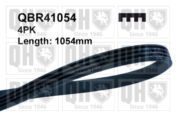 504073027 Iveco Correa poly v