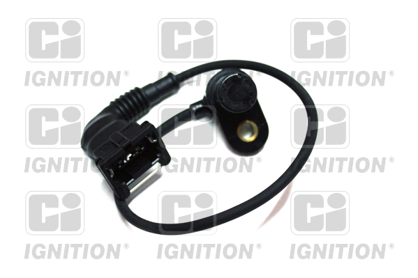 XREV291 QUINTON HAZELL