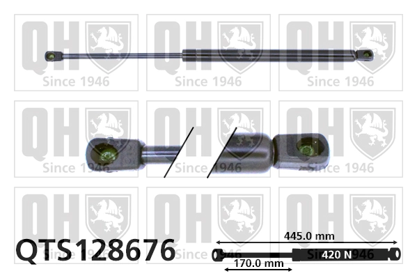 QTS128676 QUINTON HAZELL