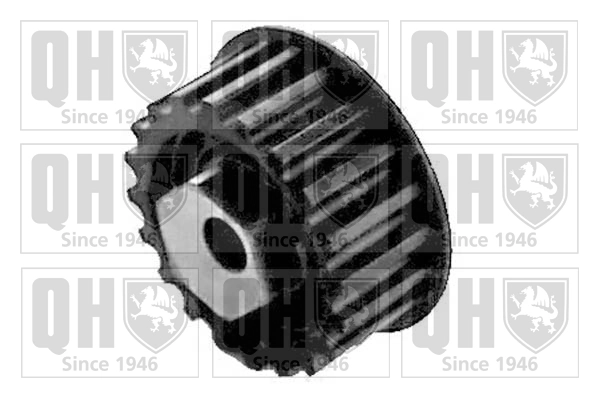 Rodillo tensor cadena Seat Ibiza I (021A)