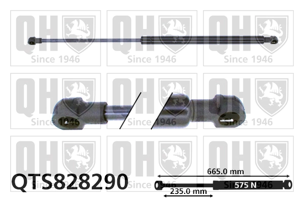 QTS828290 QUINTON HAZELL