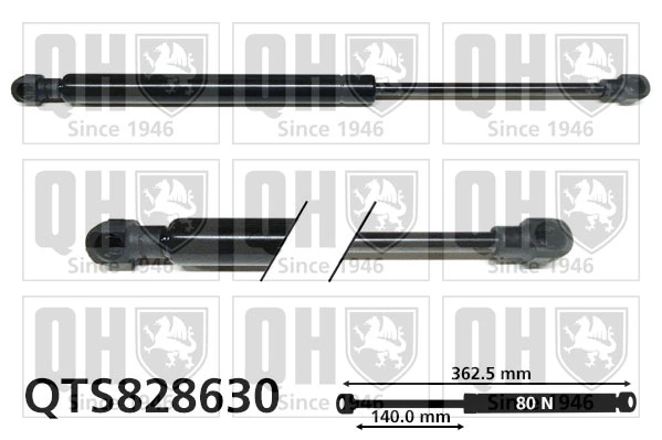 Comprar Amortiguador de la tapa del maletero Volkswagen Passat 3G2, CB2 a bajo precio