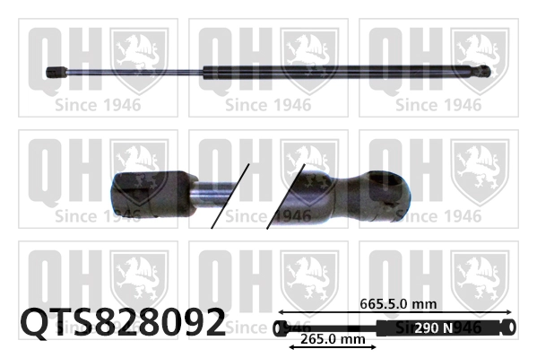 Amortiguador de maletero Renault Megane III desde 14,32 €