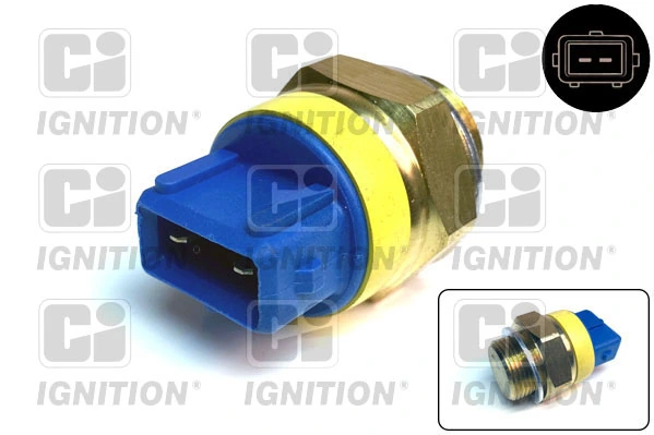 Sensor de temperatura 181076 Cargo