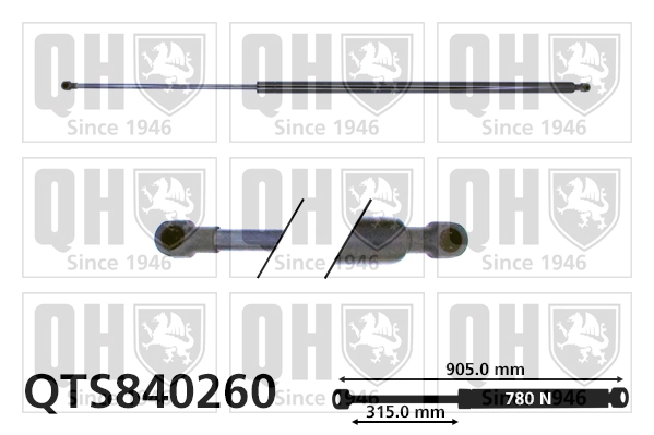 Comprar Amortiguador de la tapa del maletero Nissan Primastar  X83 a bajo precio