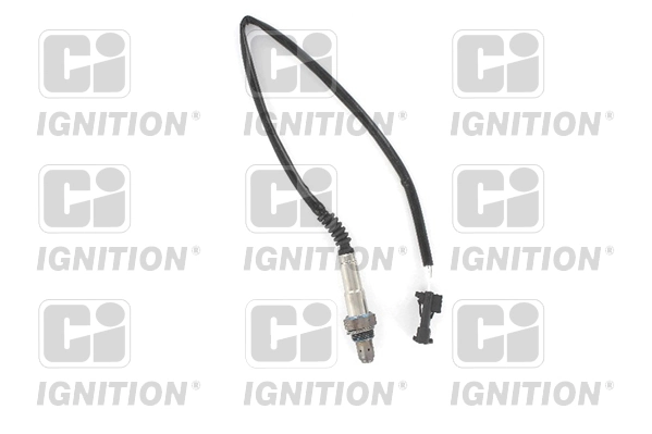 XLOS1430 QUINTON HAZELL