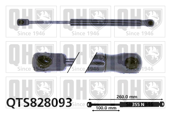 Comprar Amortiguador de capó Renault Scenic III JZ0, JZ1
