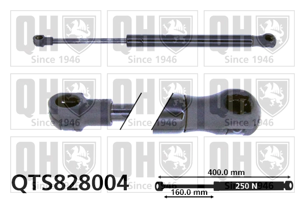 Muelle neumático, tapa delantera Peugeot/Citroen 50519970 precio, desde 10,24 EUR