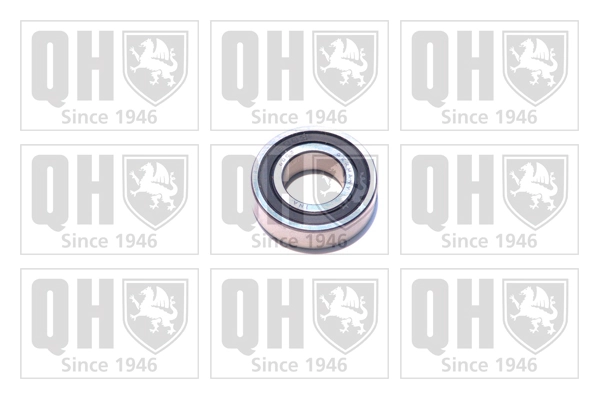 Rodamiento alternador 1687113 DAF