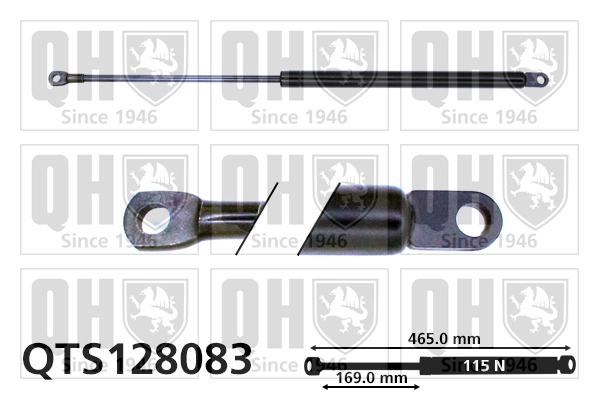  Amortiguador maletero Suzuki Swift 1