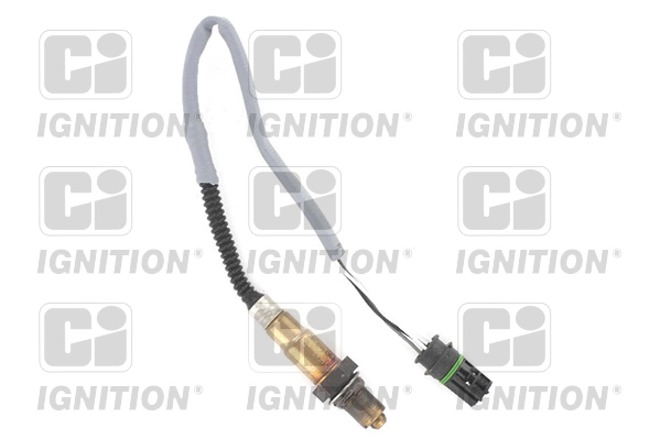XLOS1504 QUINTON HAZELL