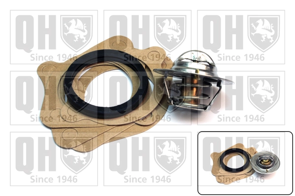 Termostato refrigerante Chrysler Voyager III desde 11,38 €