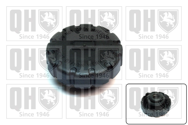 Tapón depósito de refrigerante 2105010715 Ford