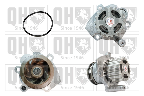 Comprar Bomba de agua Skoda Fabia  6Y a bajo precio