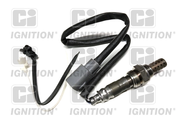 XLOS1607 QUINTON HAZELL