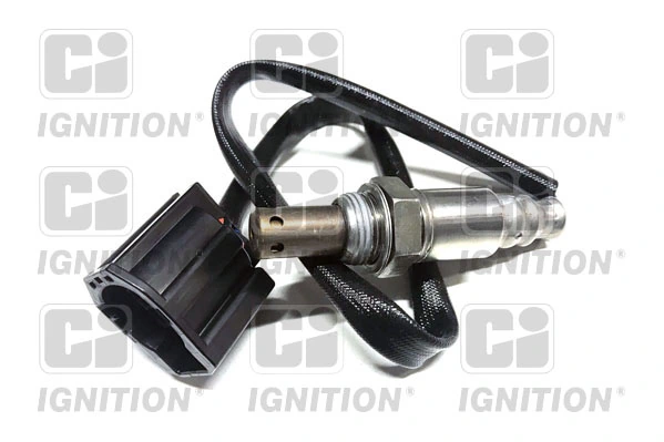 XLOS1630 QUINTON HAZELL