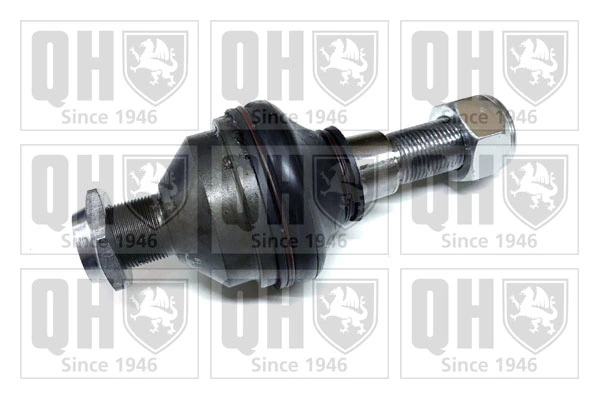  Rótula inferior de suspensión Iveco Daily 4
