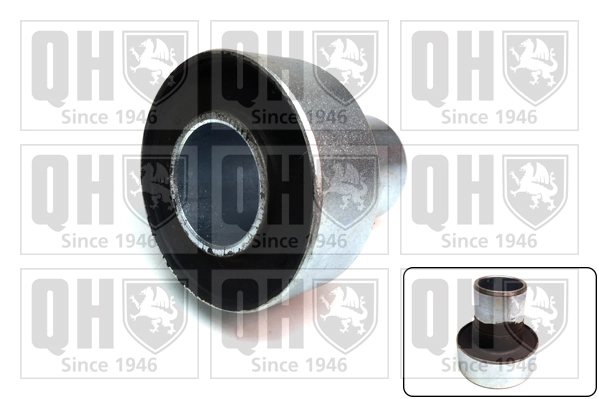  Silentblock trasero Renault Kangoo 1
