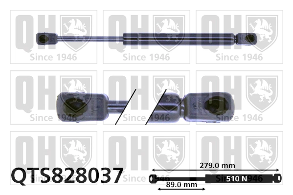 QTS828037 QUINTON HAZELL