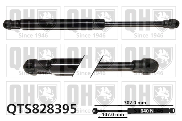 Amortiguadores de maletero Renault Fluence  (L3)