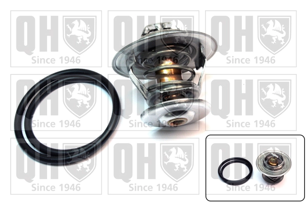 Comprar 94410612905 VAG Termostato