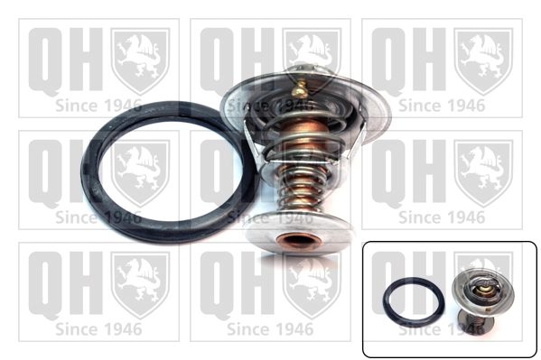 Comprar Termostato Land Rover Discovery I LG, LJ
