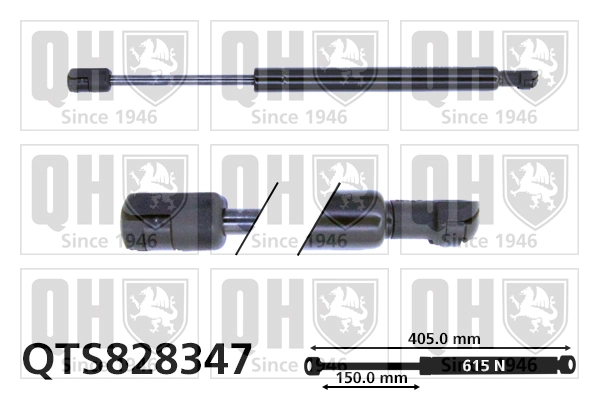 Muelle neumatico maletero Renault DUSTER I
