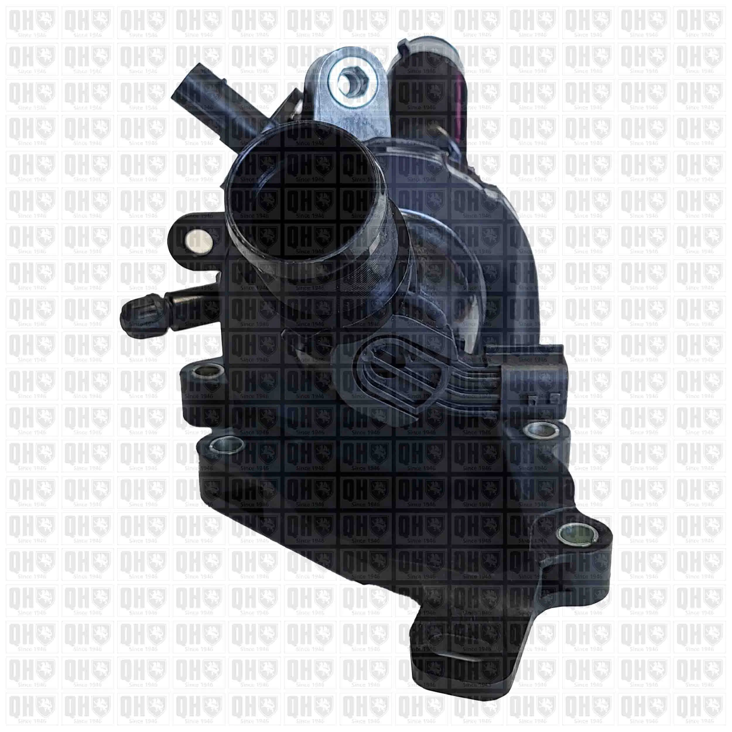 110603305R Renault (RVI) Termostato de agua