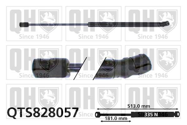 QTS828057 QUINTON HAZELL