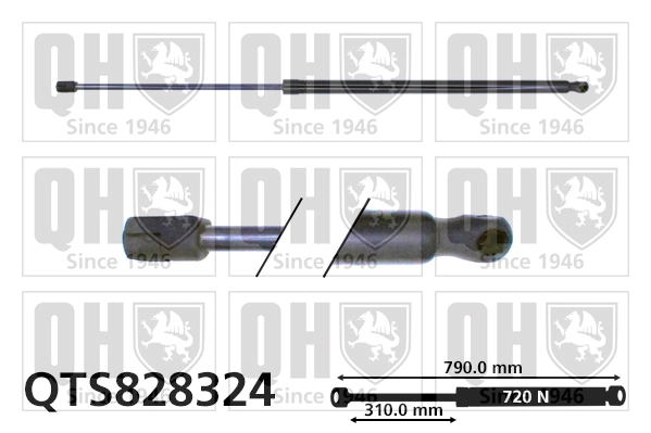 Muelle neumatico maletero Fiat Doblo II