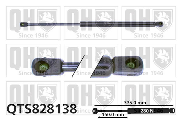 Comprar Amortiguador de capó Audi A8 D3 4E2, 4E8