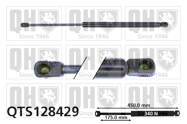 QTS128429 QUINTON HAZELL