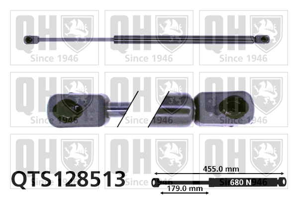 Amortiguador de porton para Renault Twingo I C06