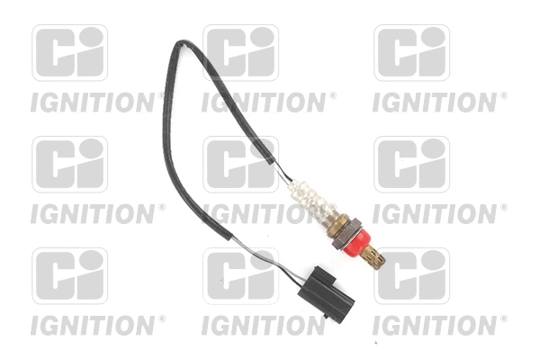 XLOS1521 QUINTON HAZELL