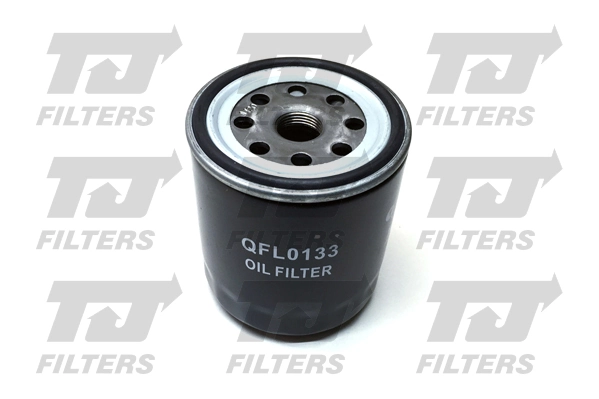 Filtro de aceite motor General Motors 5650300