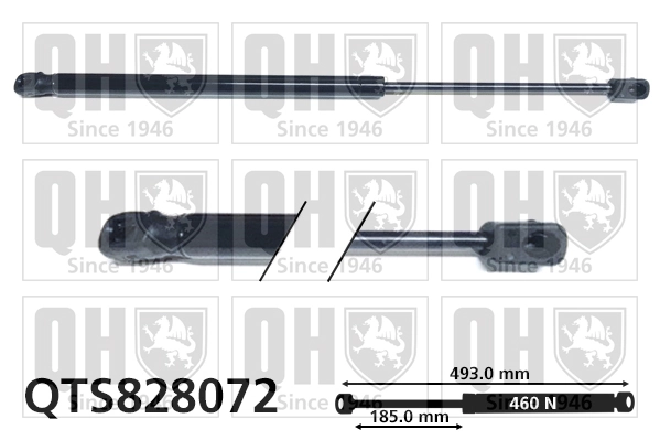 Amortiguador maletero para Mini COUNTRYMAN R60