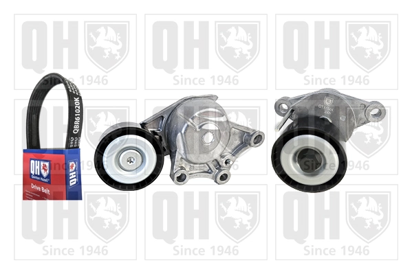 Correa de transmisión, juego Peugeot/Citroen 1611277480 precio, desde 105,83 EUR