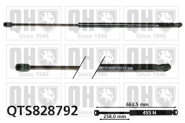 9812446280 Peugeot/Citroen Amortiguador de porton